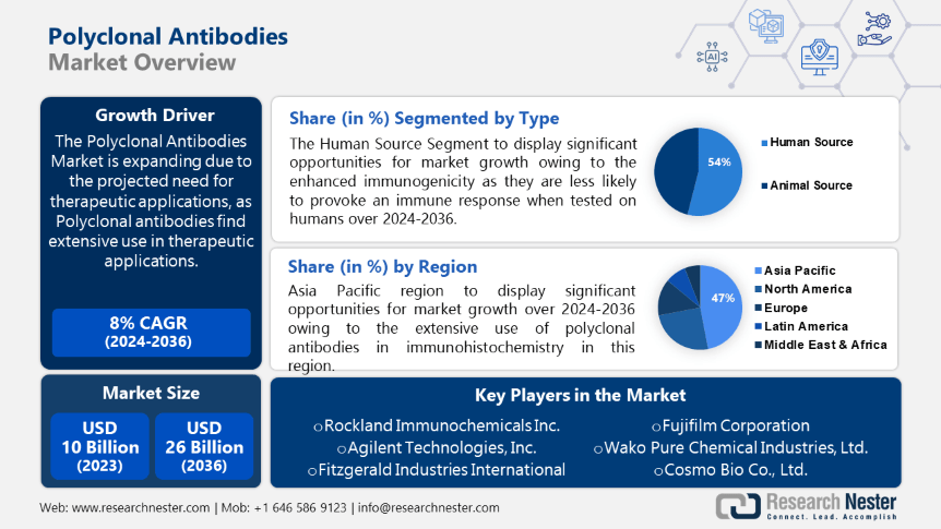 Polyclonal Antibodies Market